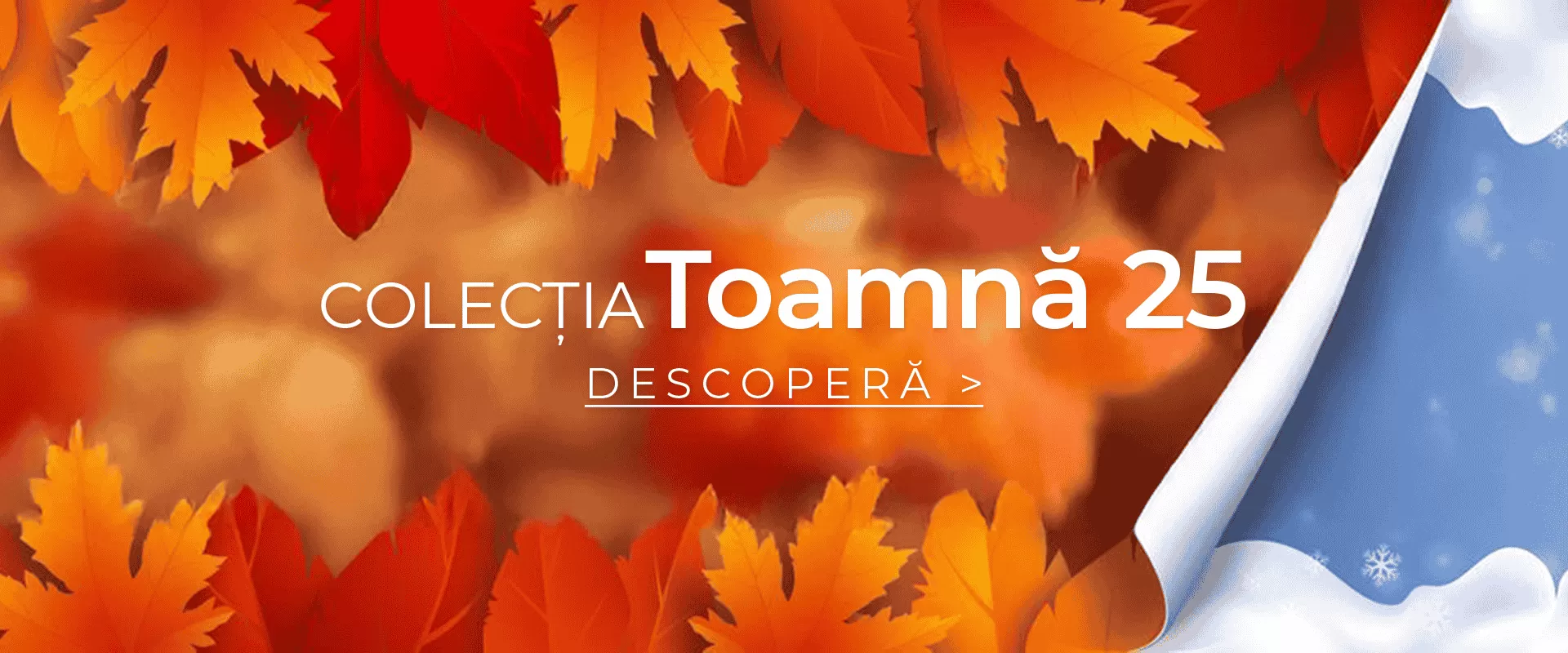 Toamna 2025  Toamna 2025